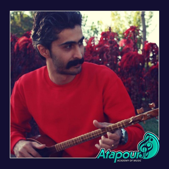 رضا شایان ( تار و سه تار )
